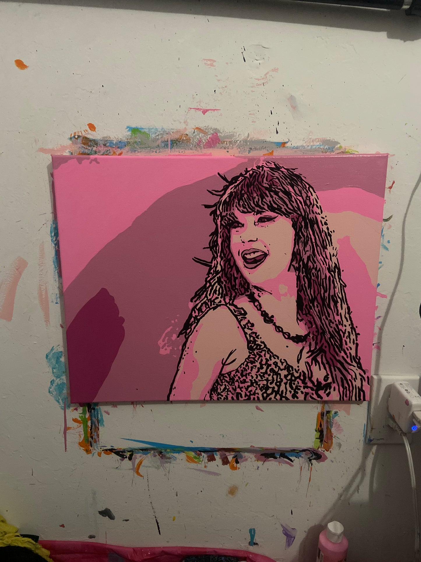 Taylor Swift 16x20